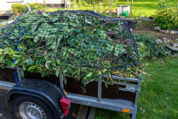 Best Mattress Disposal  in Louisville, KY